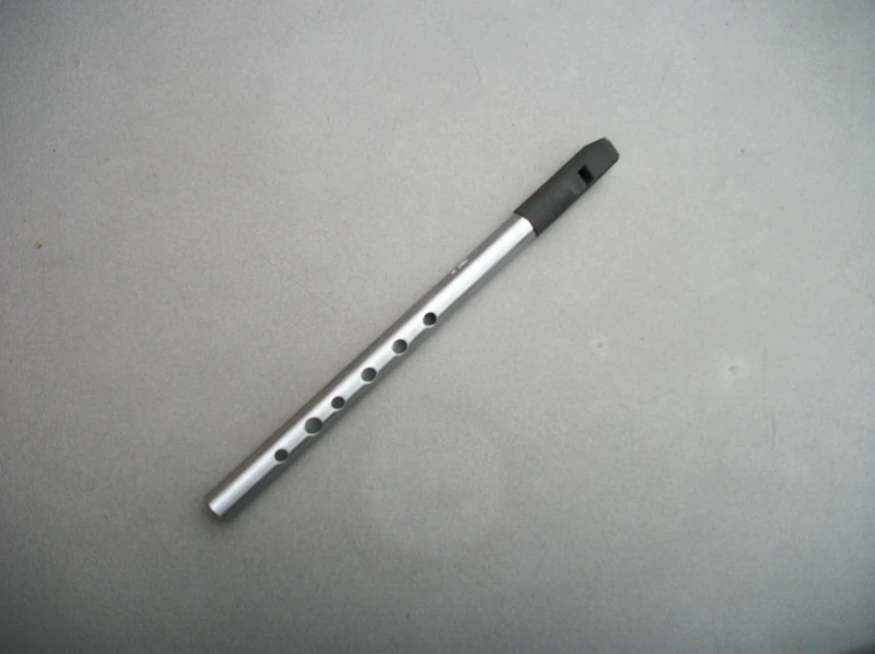 TWZ Sonara High D Tin Whistle