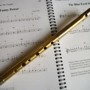 TWZ Tin Whistle XL 1 im Luxusetui High D
