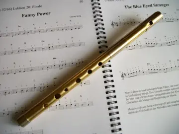 TWZ Tin Whistle XL 1 im Luxusetui High D